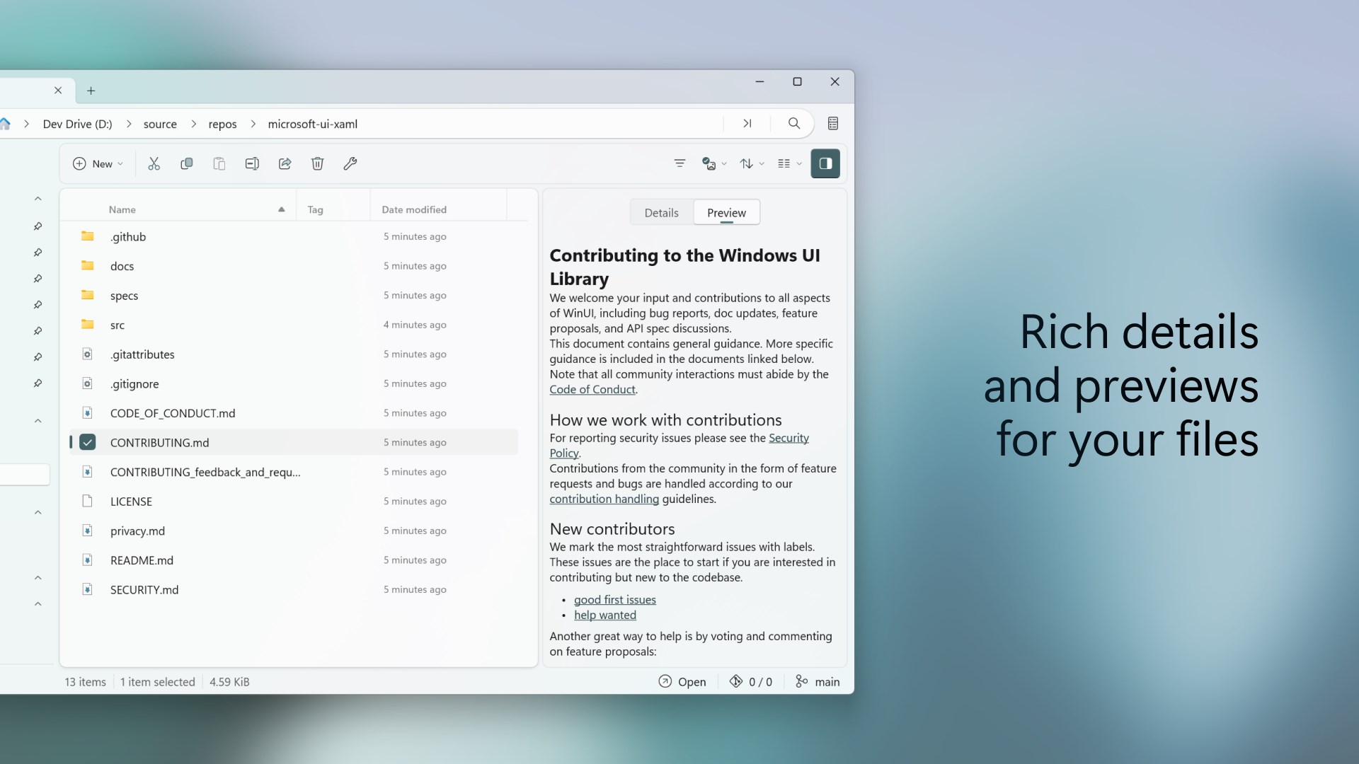 Files Preview screenshot