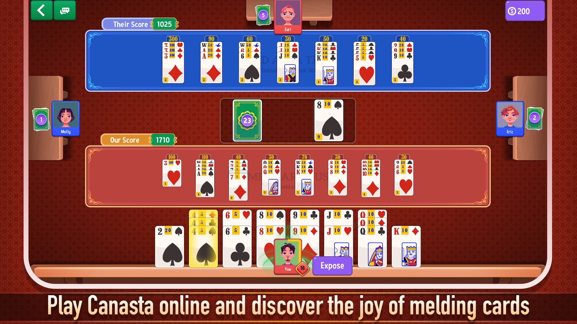 Canasta: Card Game screenshot