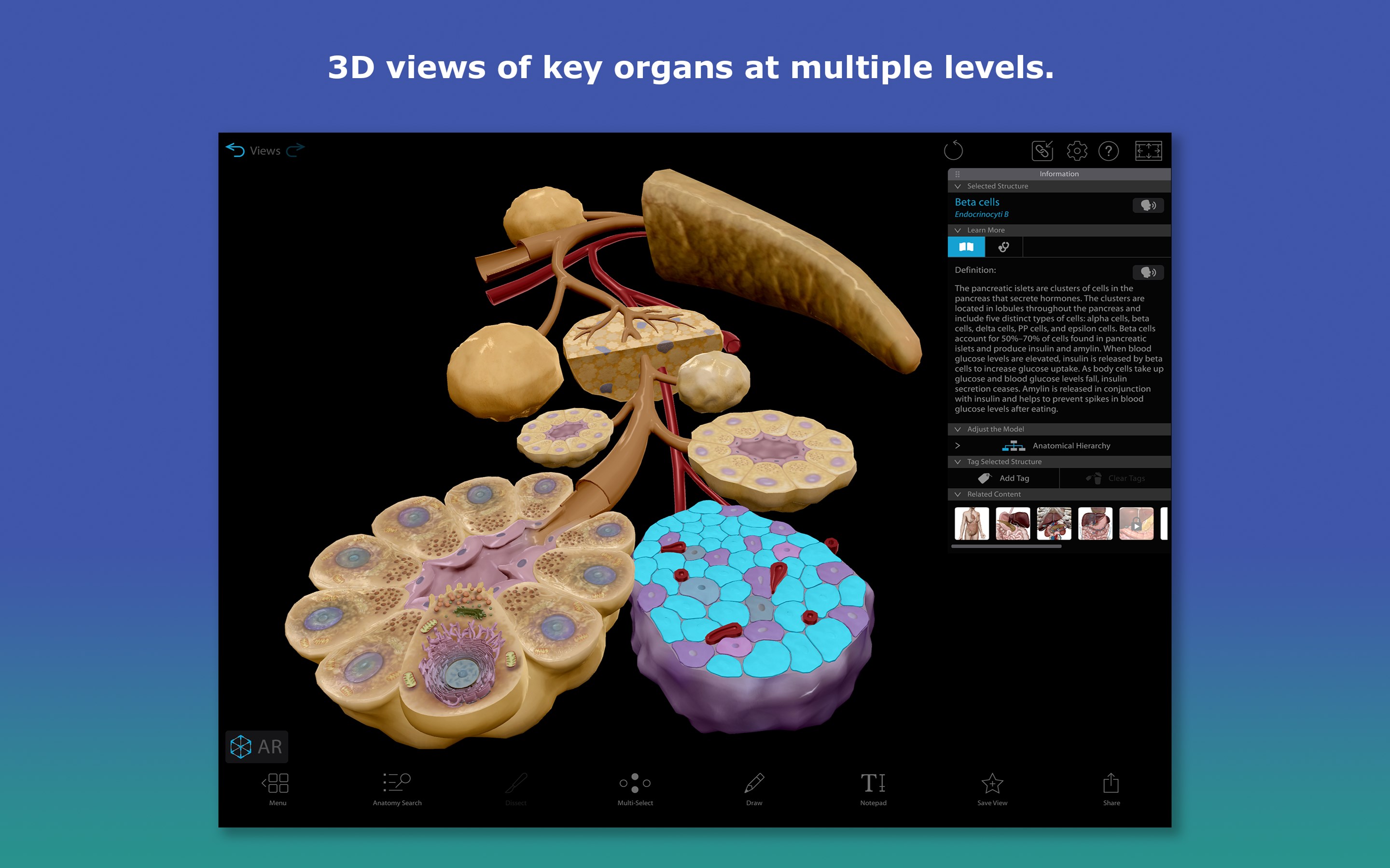 Human Anatomy Atlas 2026: Complete 3D Human Body screenshot
