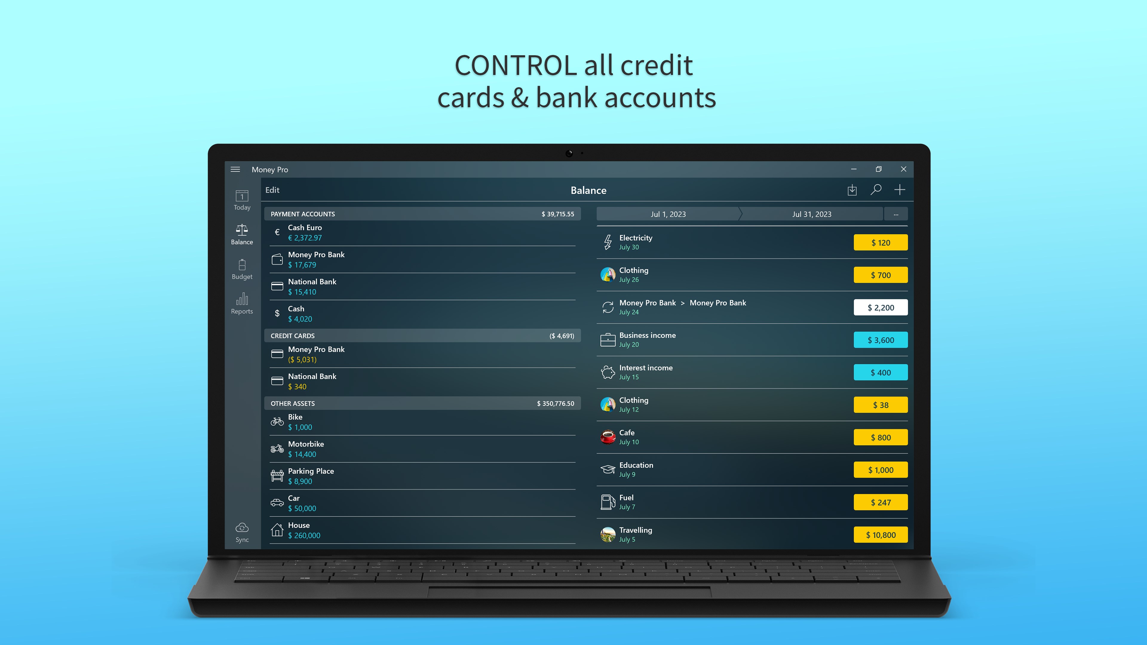 Money Pro: Personal Finance screenshot