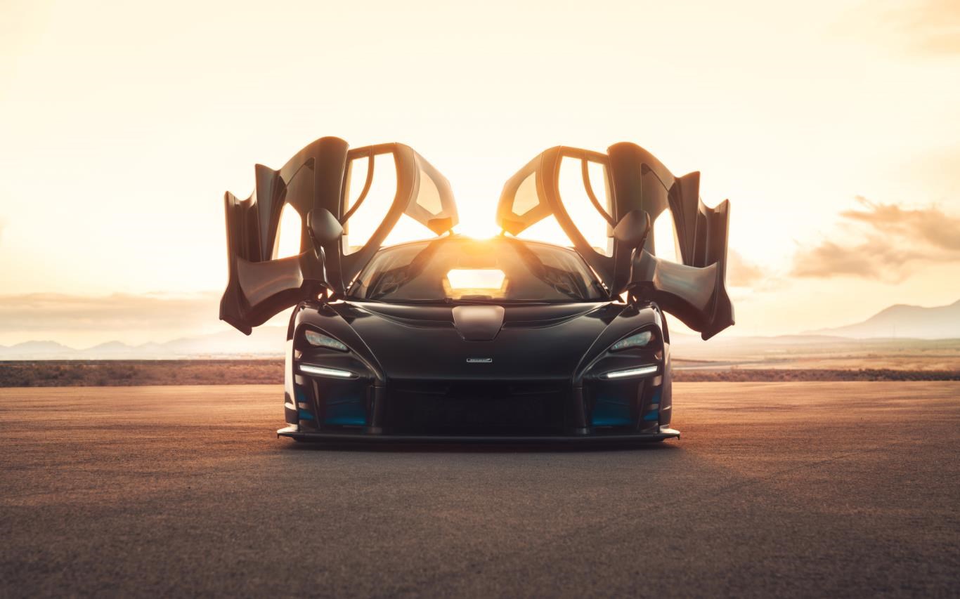 McLaren Senna Track Day screenshot