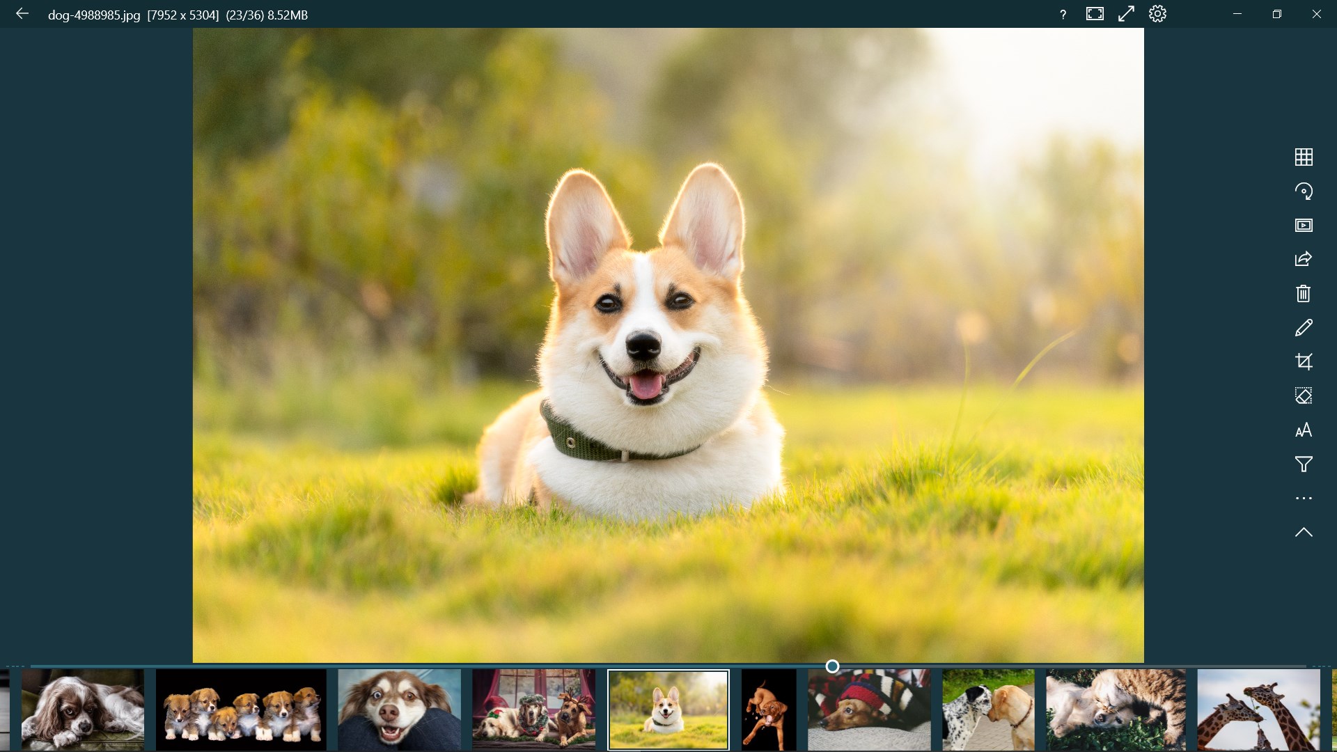 123 Photos: View, Edit & Convert screenshot