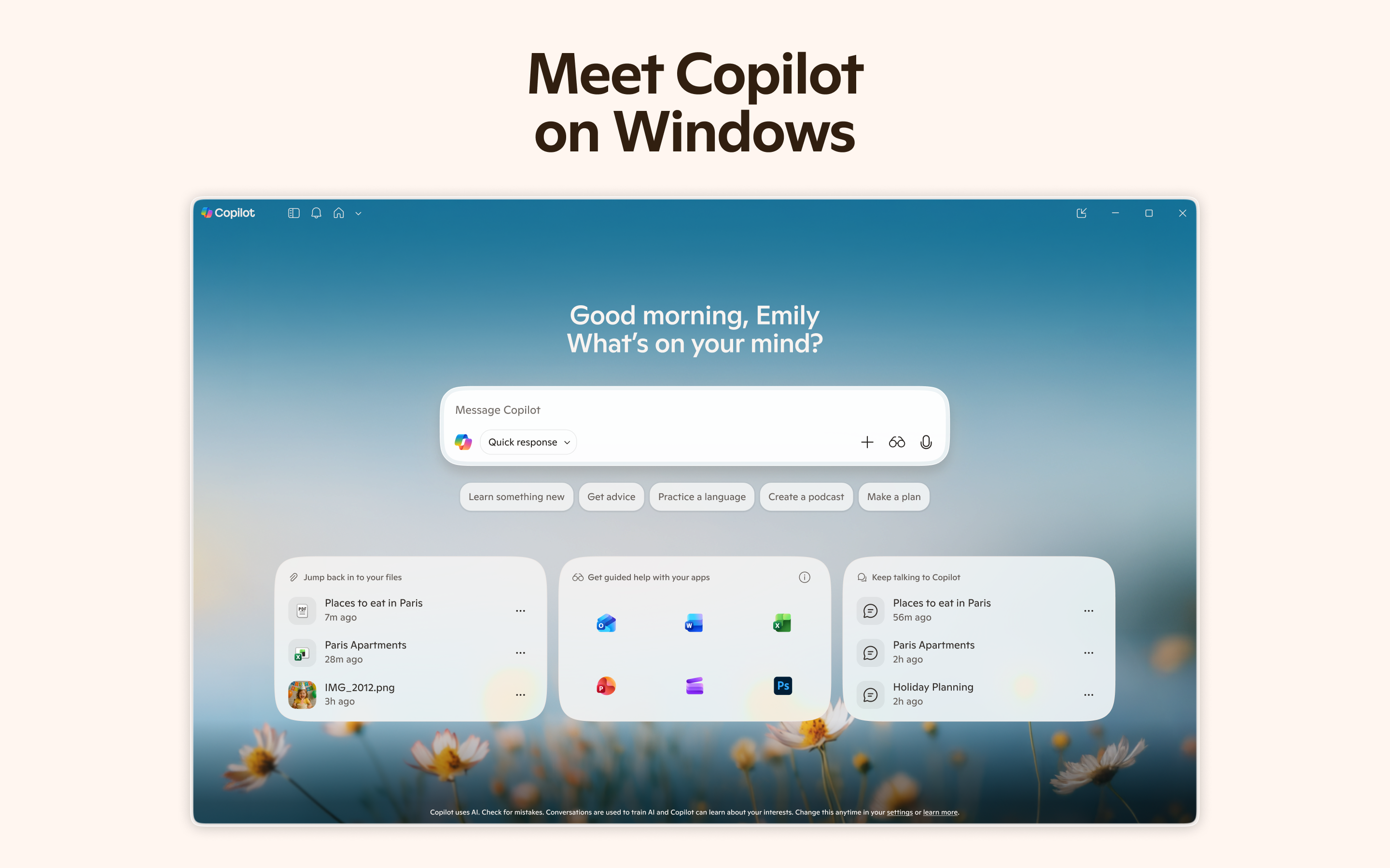 Microsoft Copilot screenshot