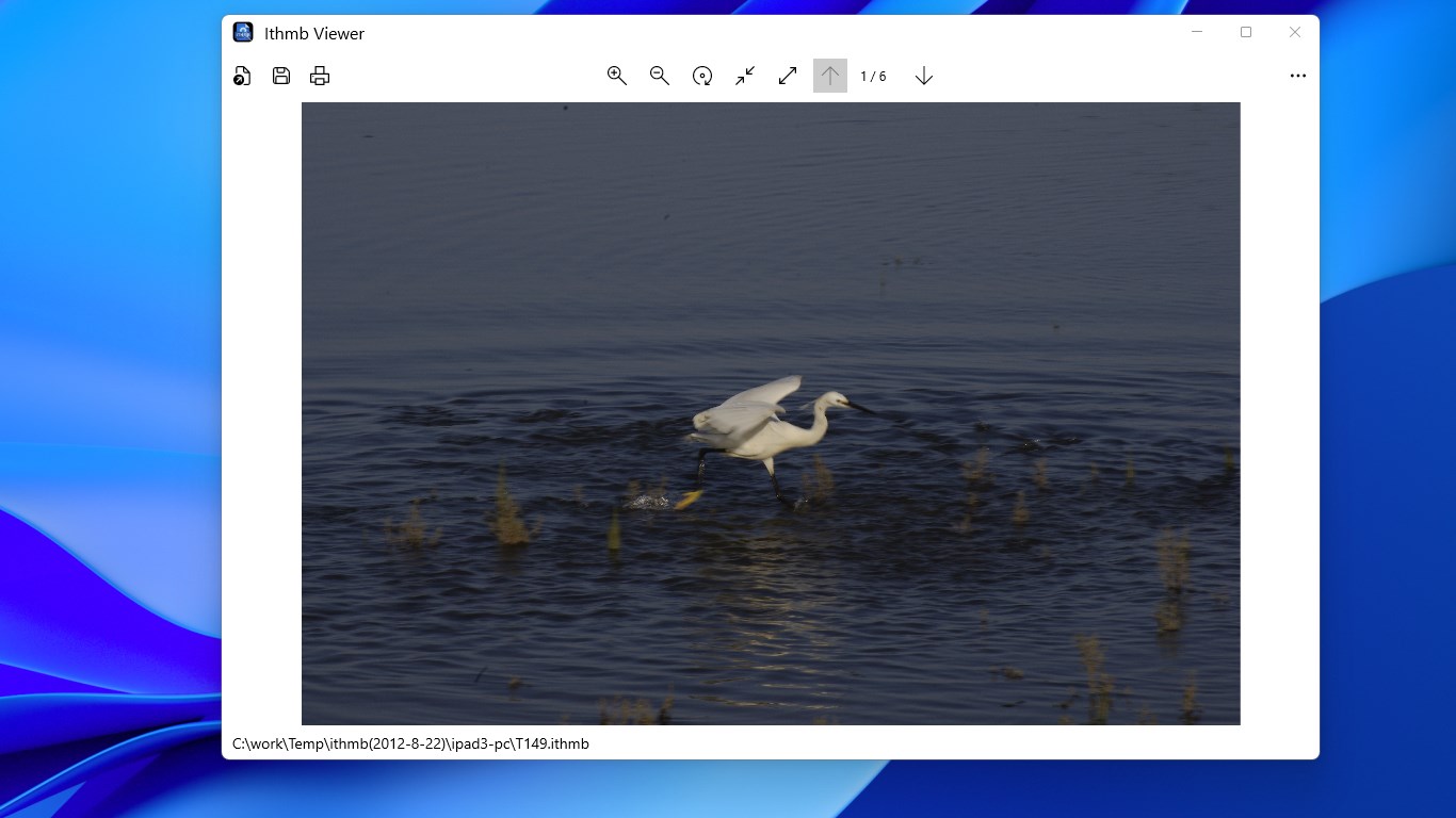 Ithmb Viewer screenshot