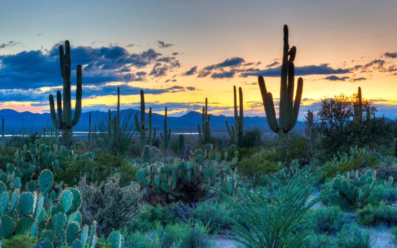 US National Parks screenshot