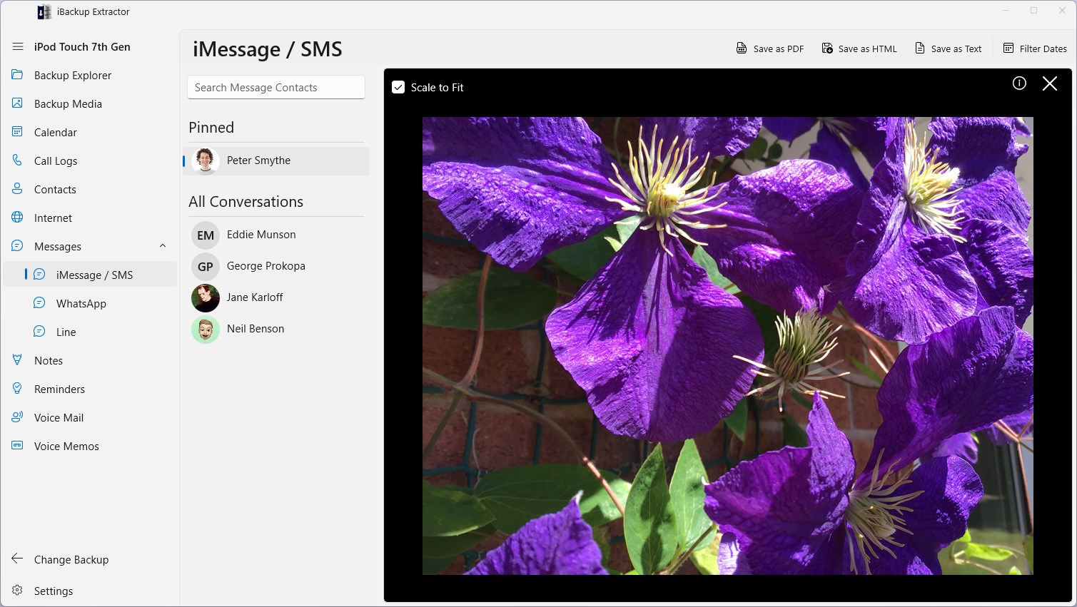 iBackup Extractor screenshot