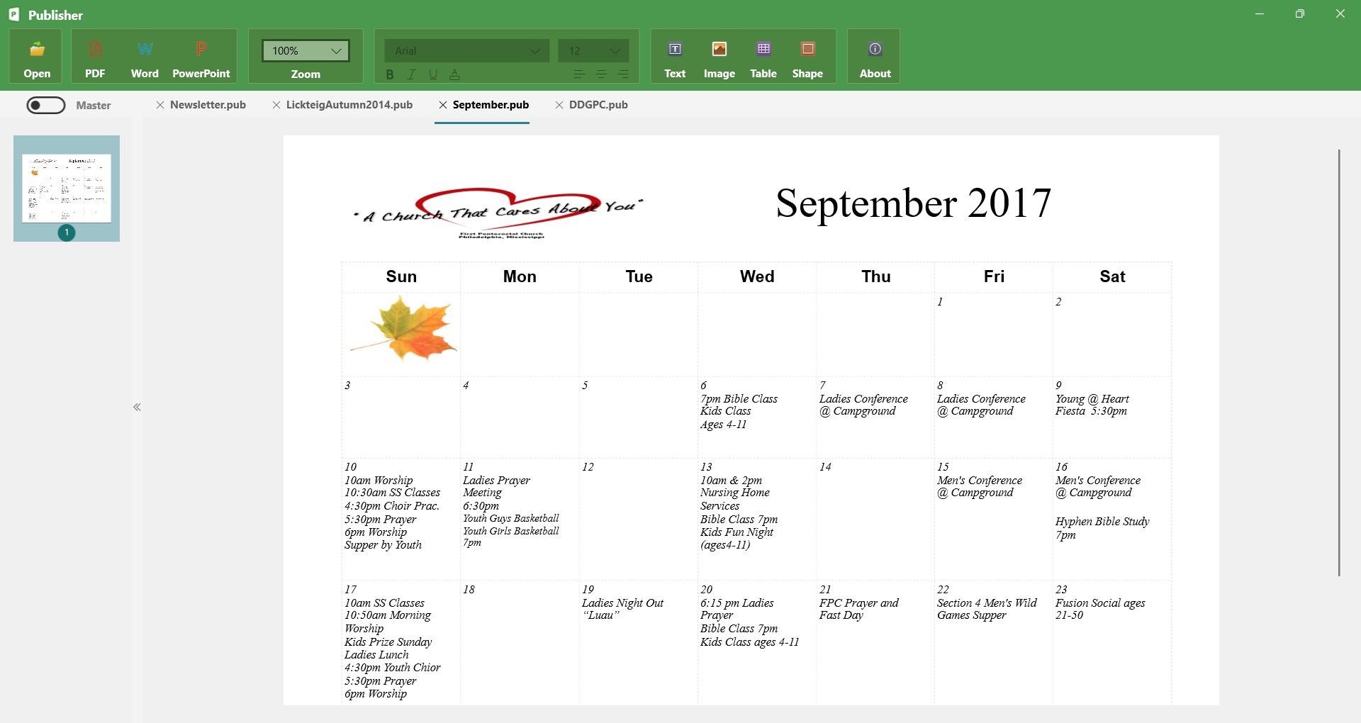 PUB Editor Pro 2 screenshot