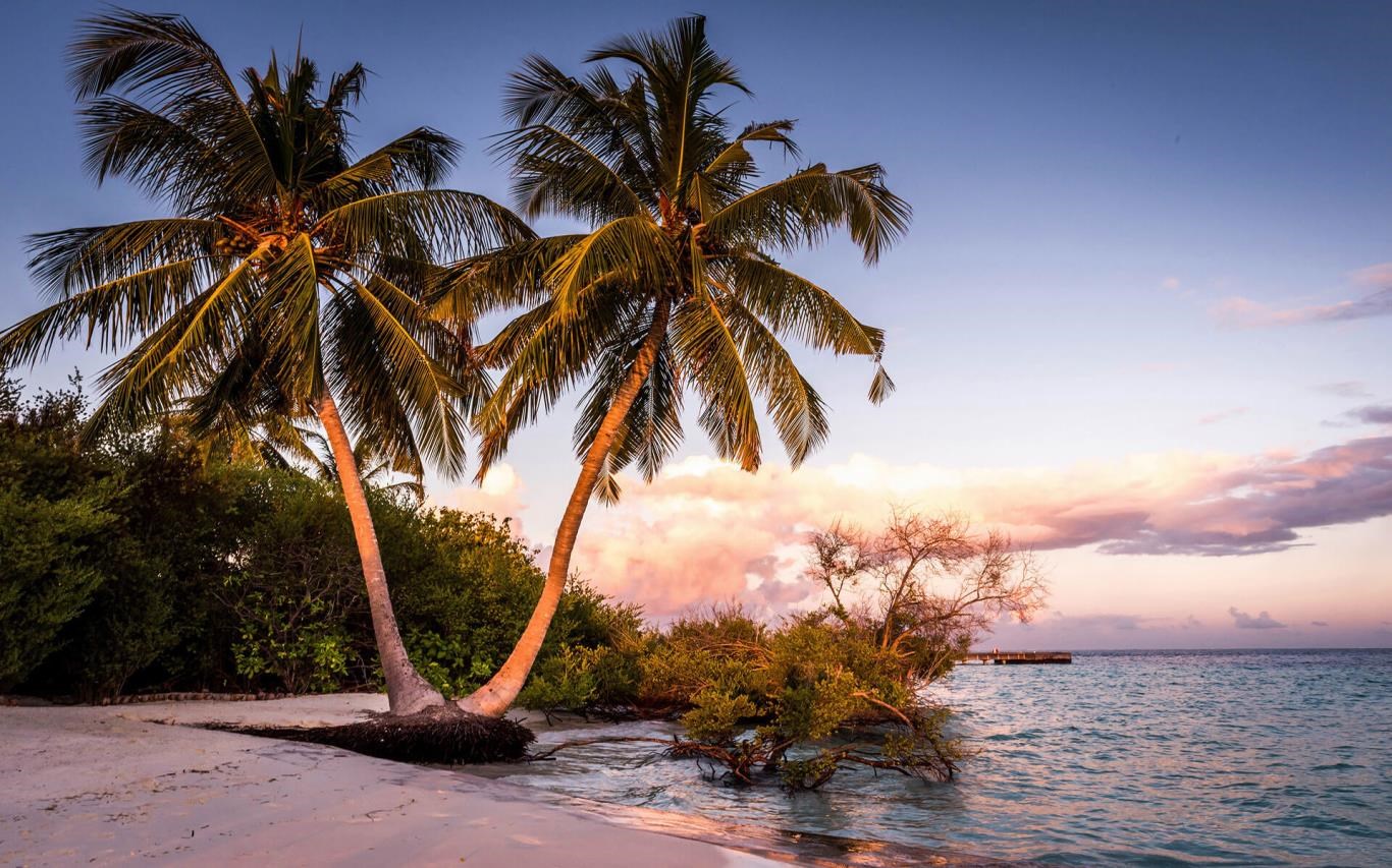 Beach Glow screenshot