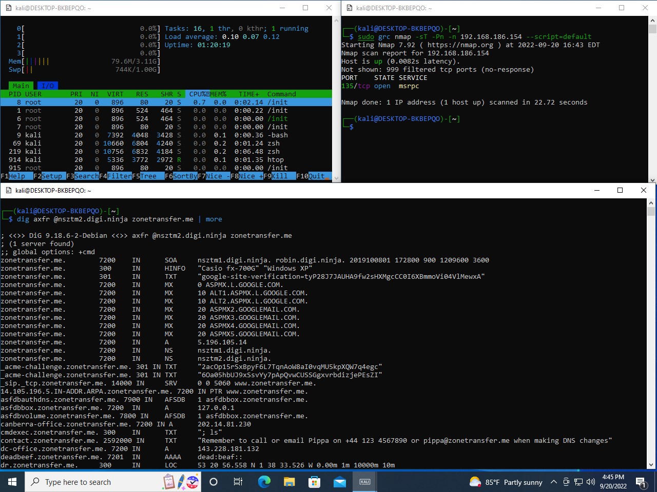 Kali Linux screenshot