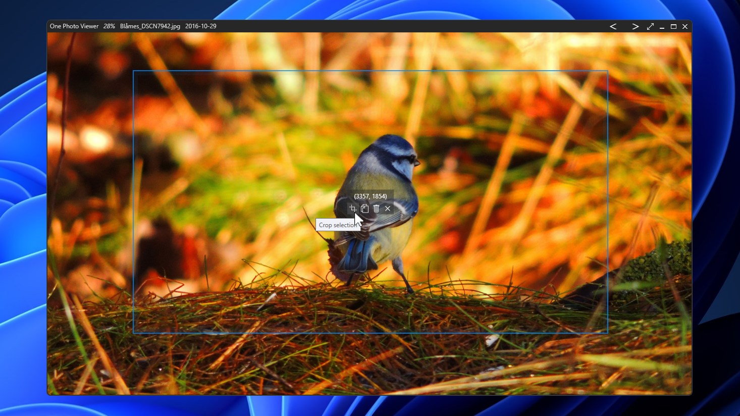 One Photo Viewer screenshot