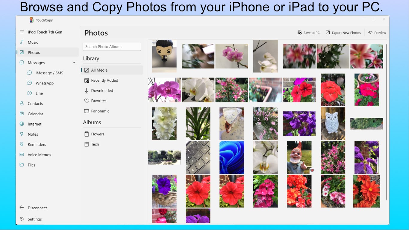 TouchCopy screenshot