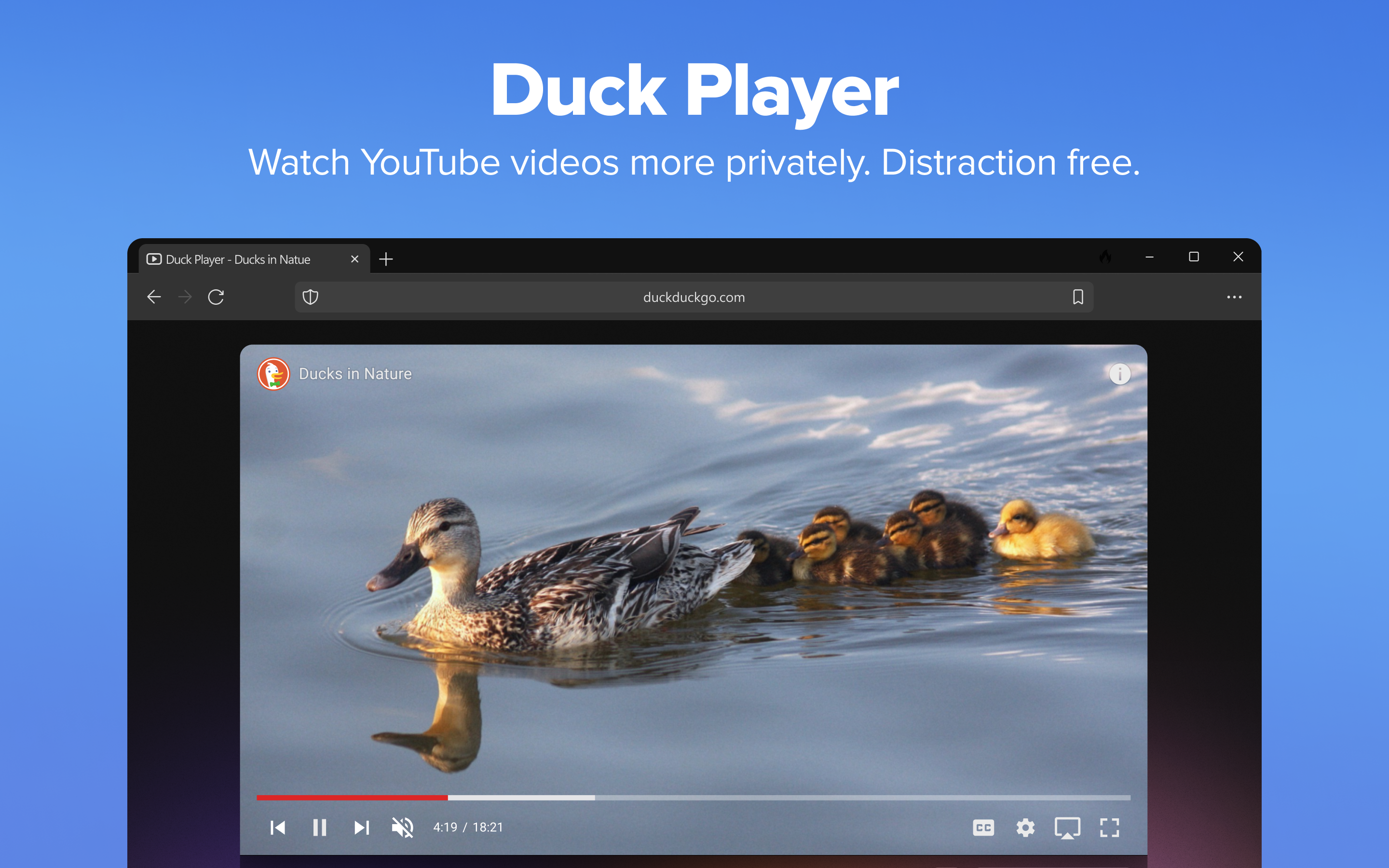 DuckDuckGo, Duck.ai (optional) screenshot