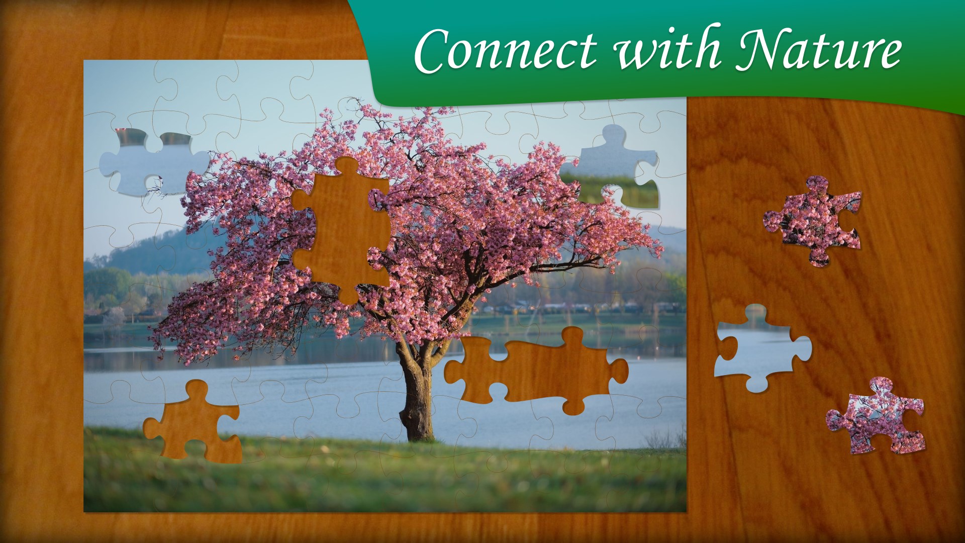 Jigsaw Puzzle Nature screenshot