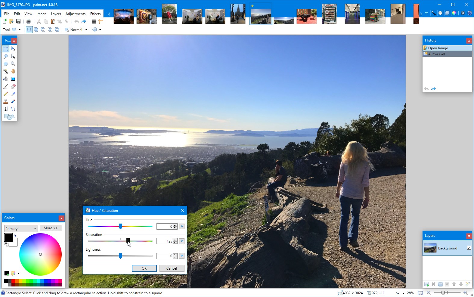 Paint.NET screenshot