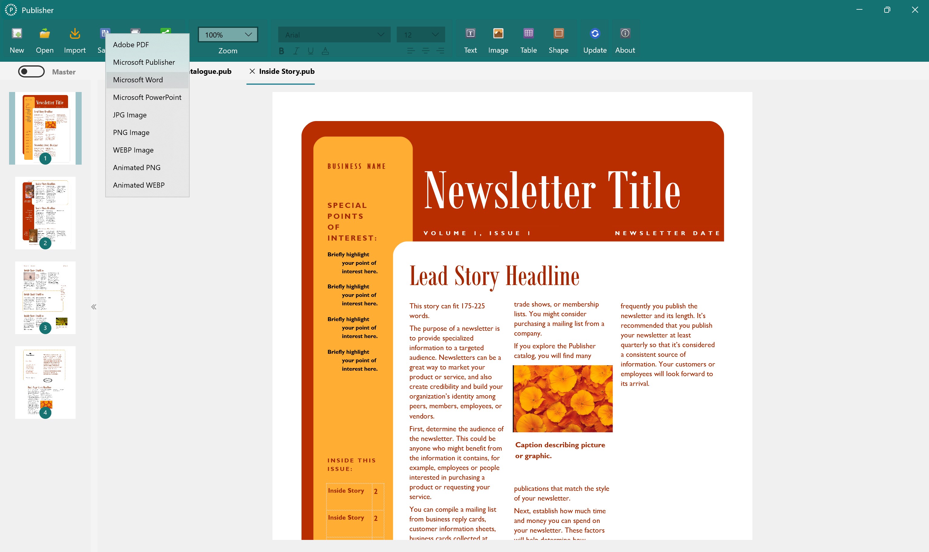 Publisher: for MS Publisher screenshot