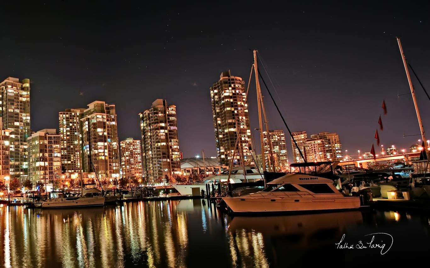 City Lights by Talha Tariq screenshot