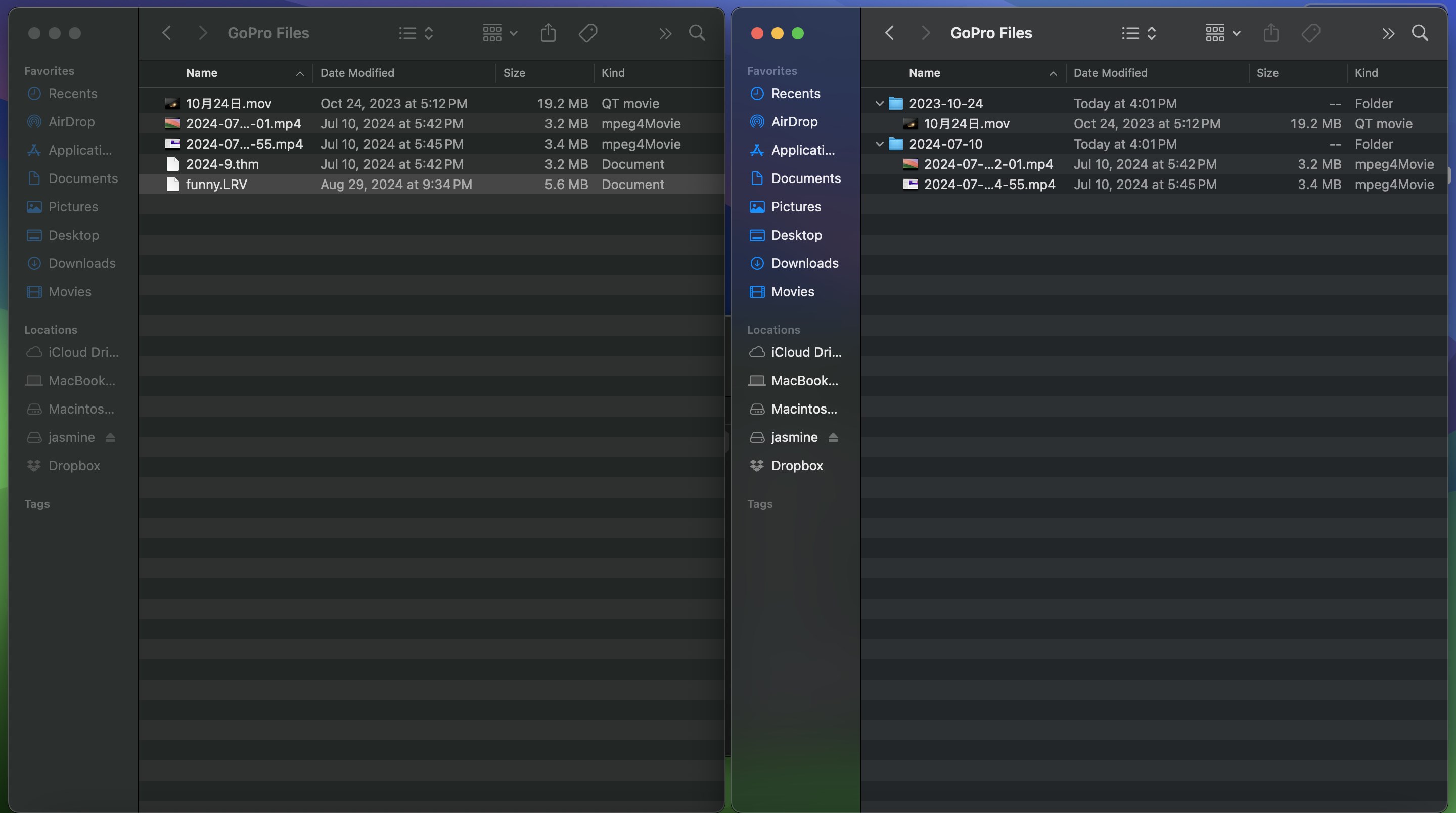 Organize GoPro Files screenshot