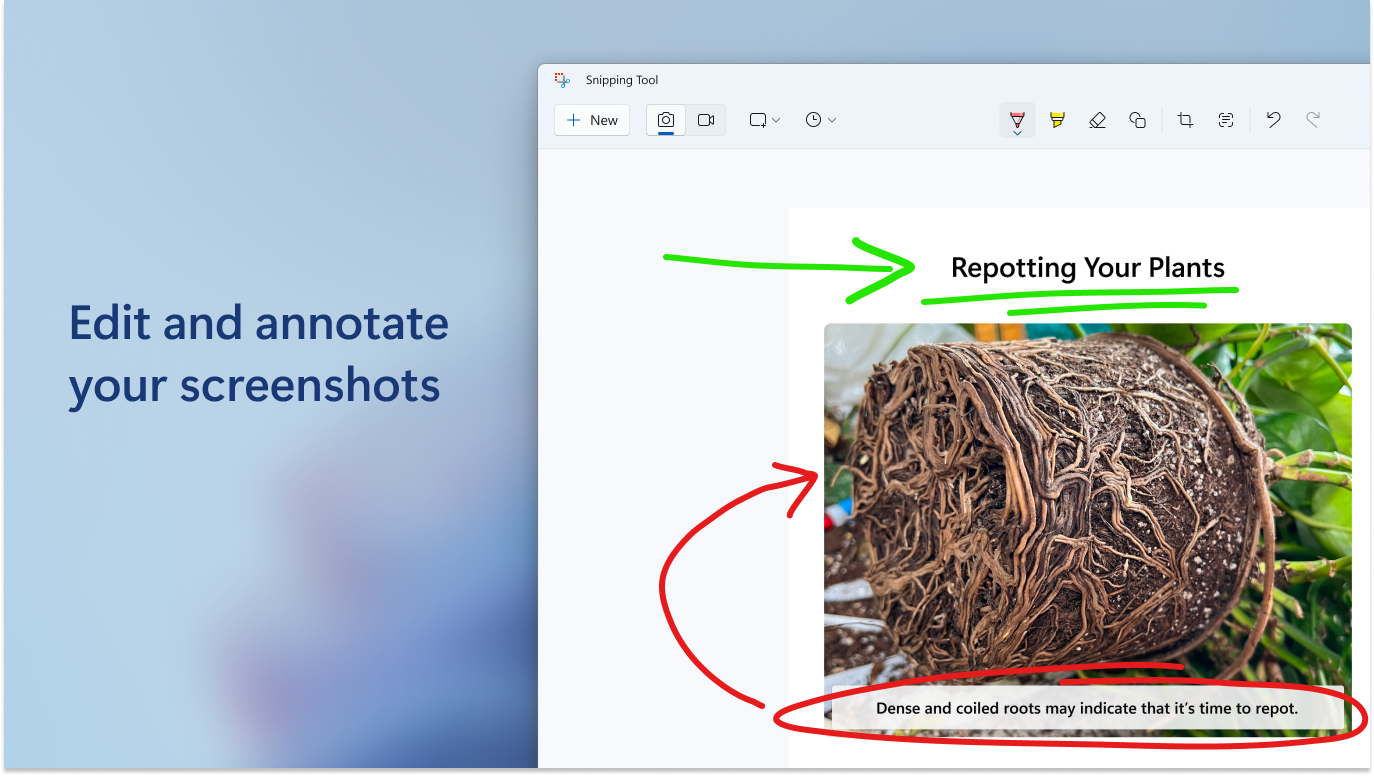 Snipping Tool screenshot