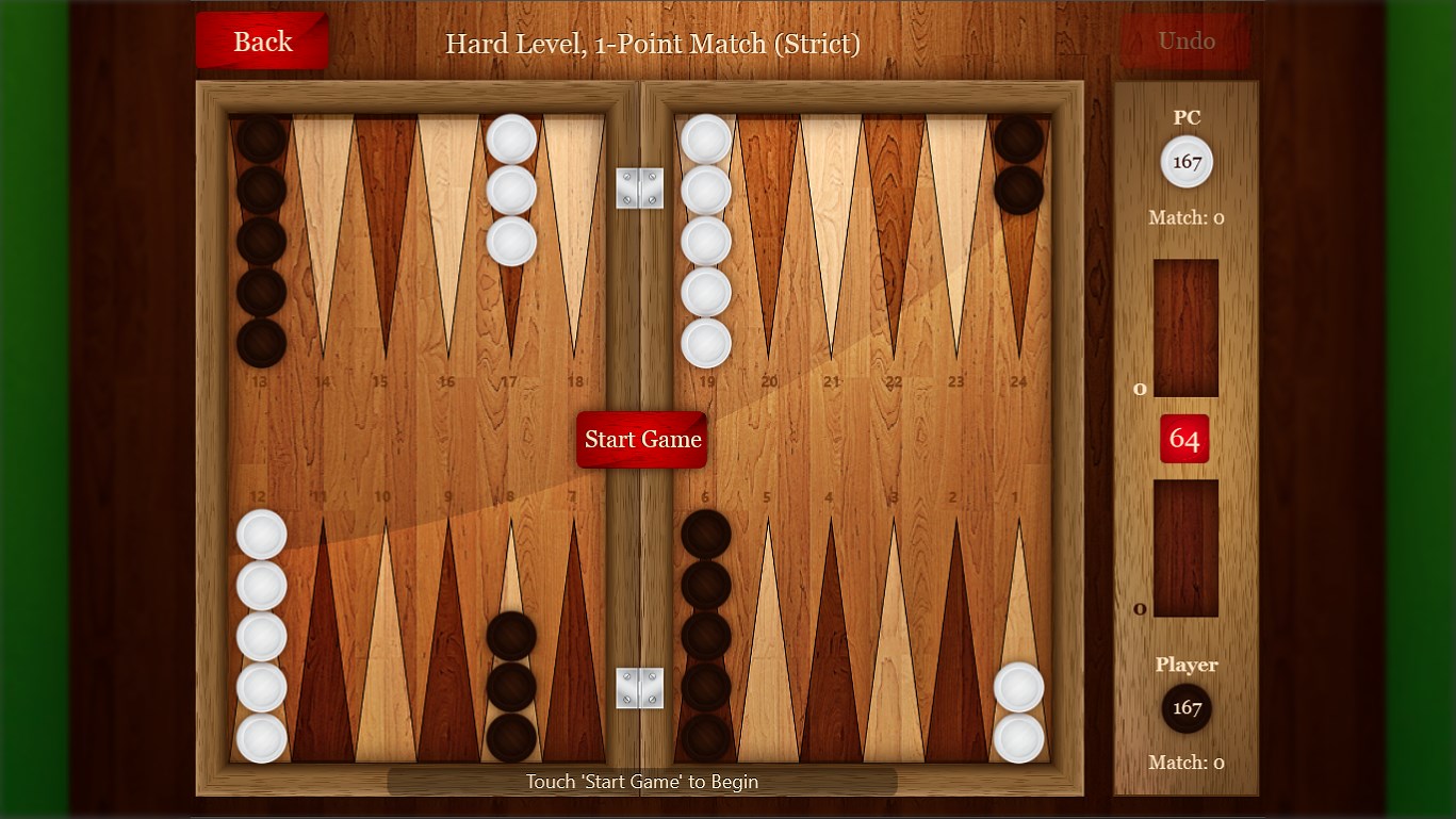 Backgammon Pro screenshot