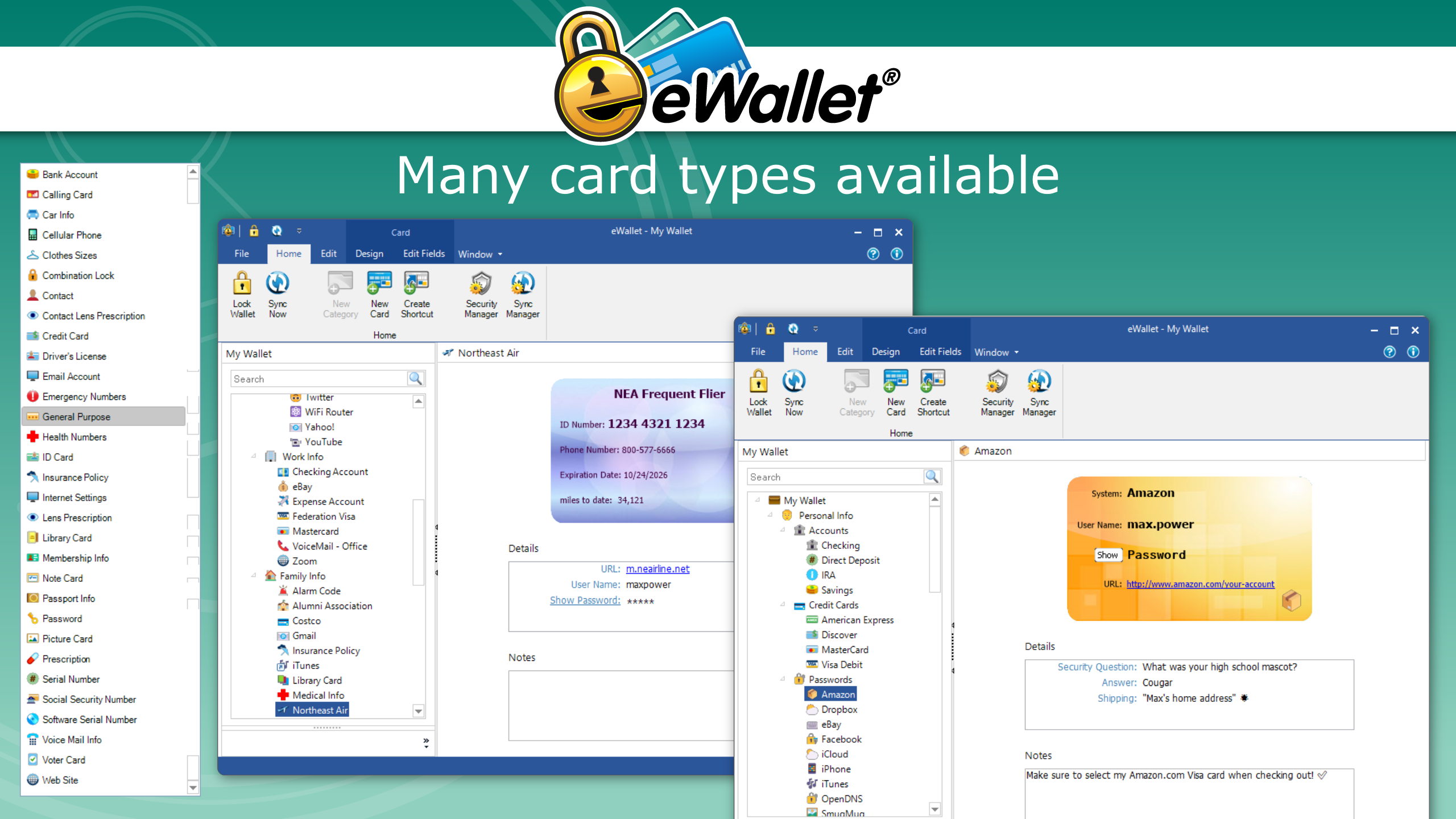 eWallet for Windows screenshot