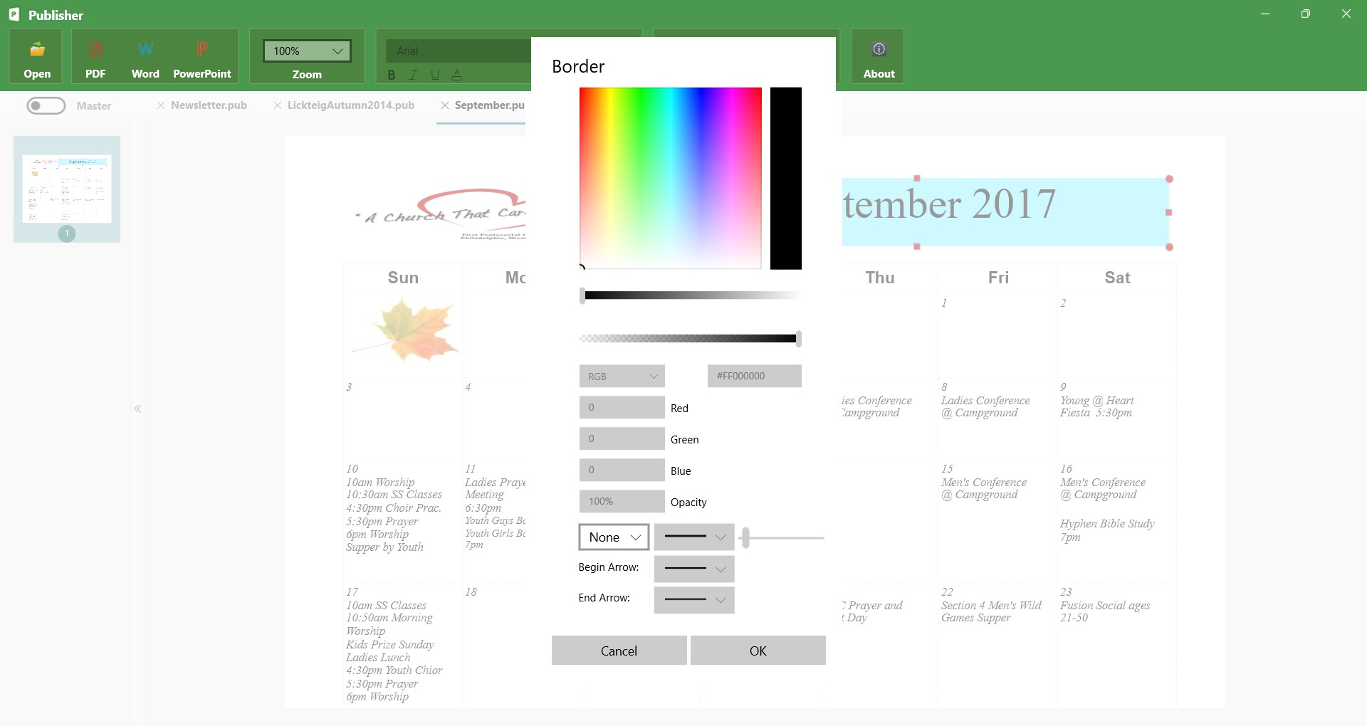 PUB Editor Pro 2 screenshot