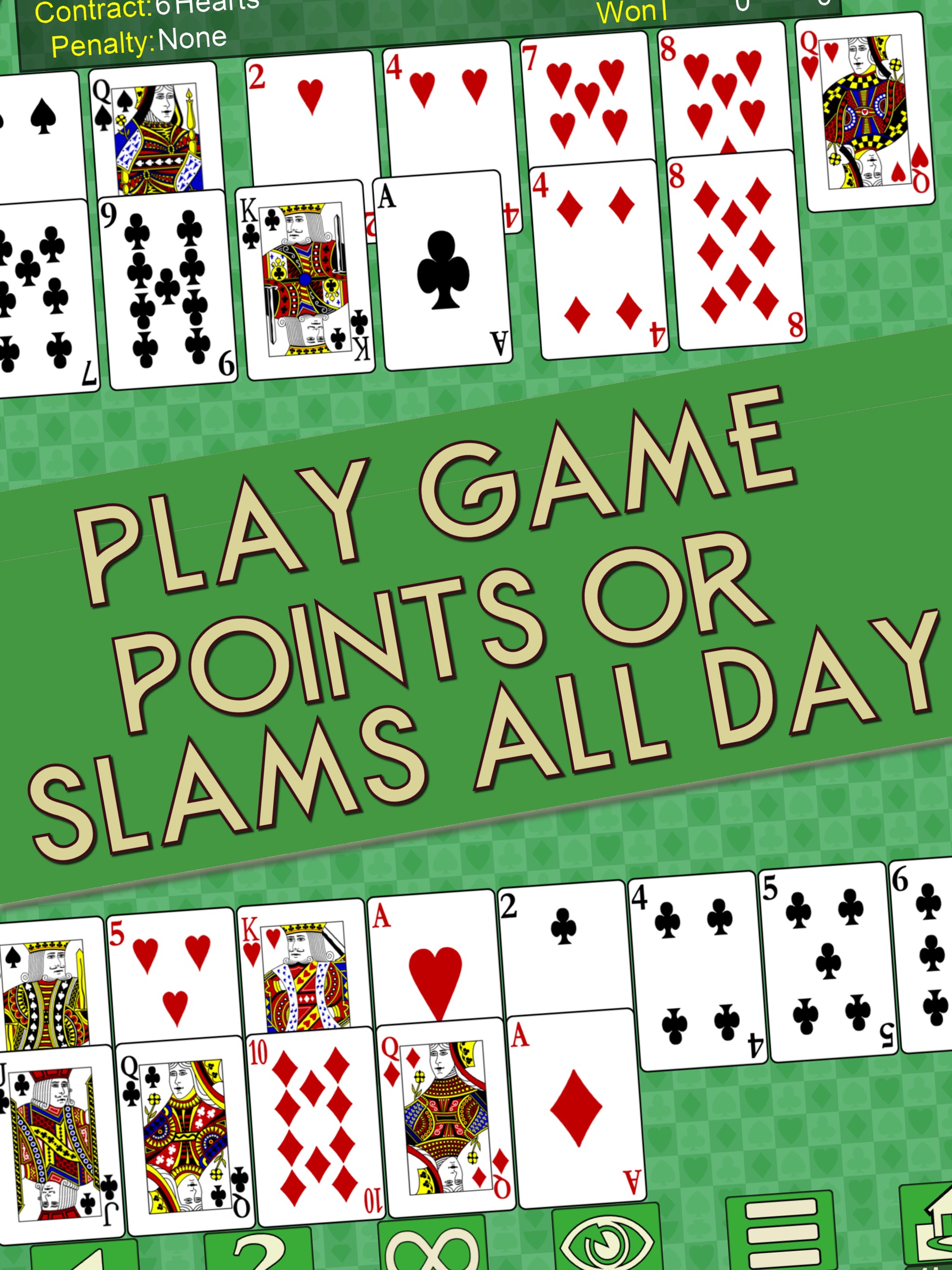 Bridge V+ screenshot