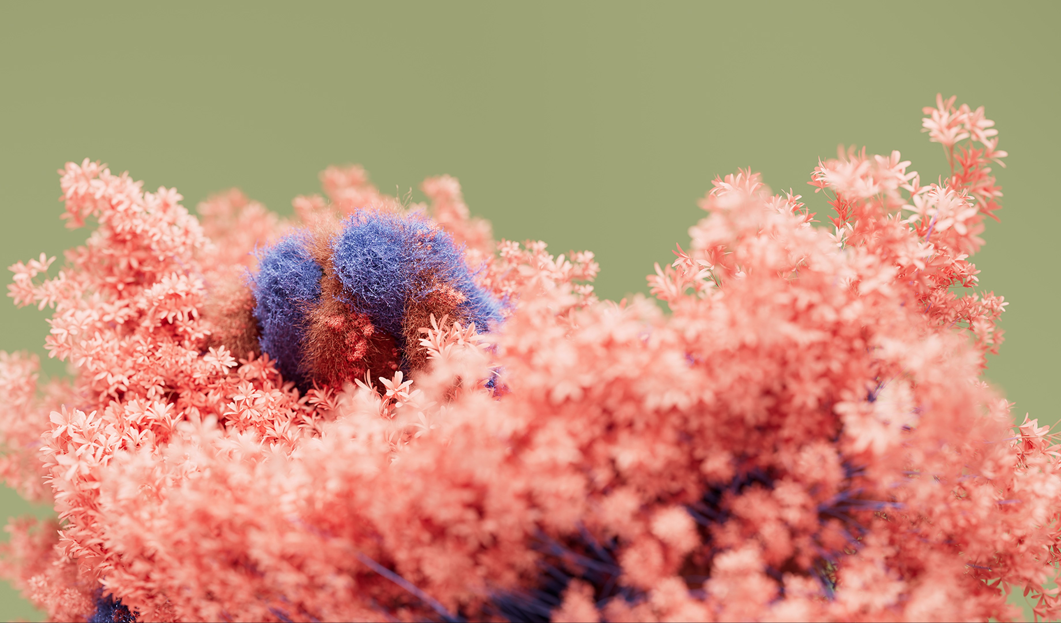 Blooming Dimensions screenshot