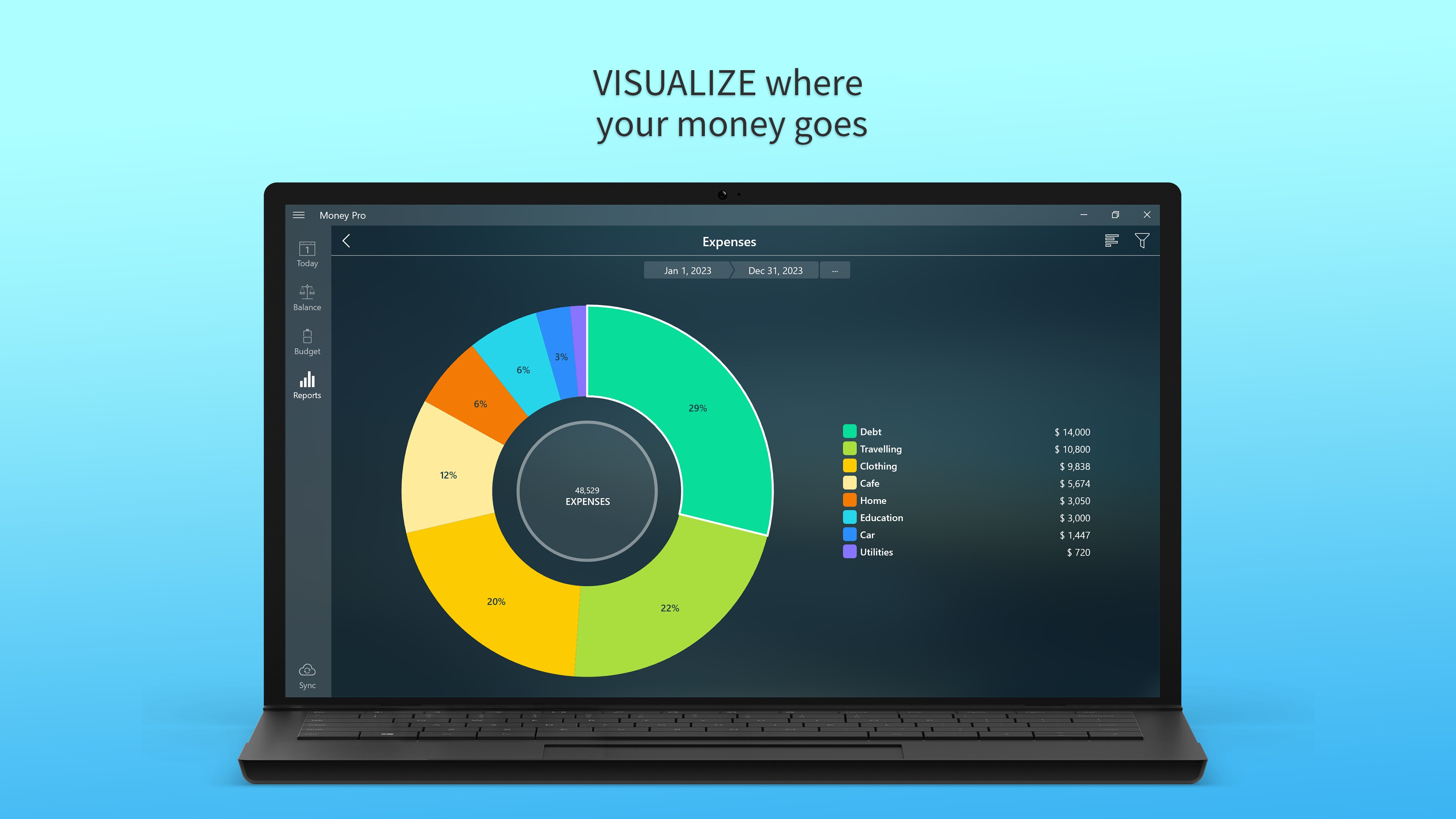 Money Pro: Personal Finance screenshot