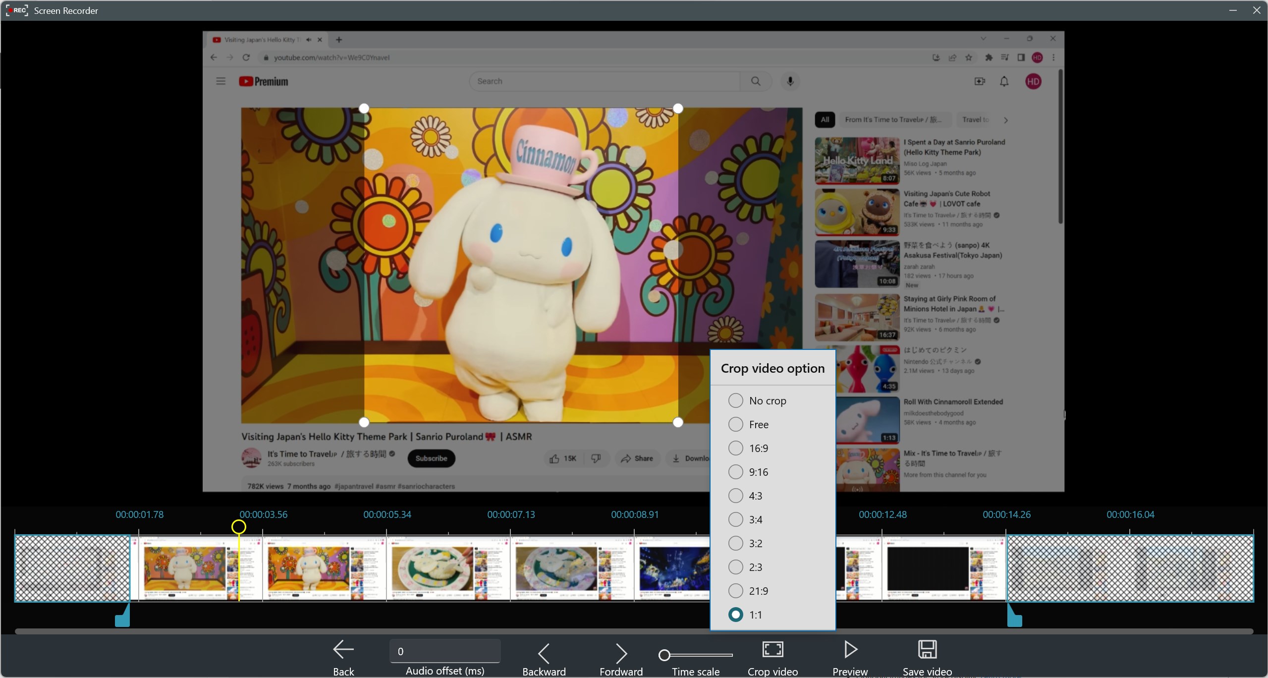 Record Screen - FREE screenshot