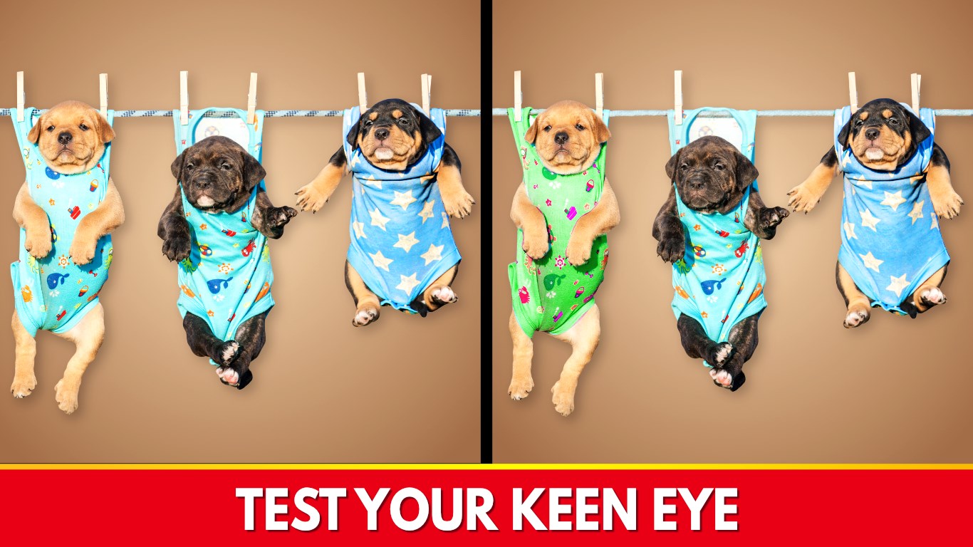 Find The Differences - Spot it screenshot