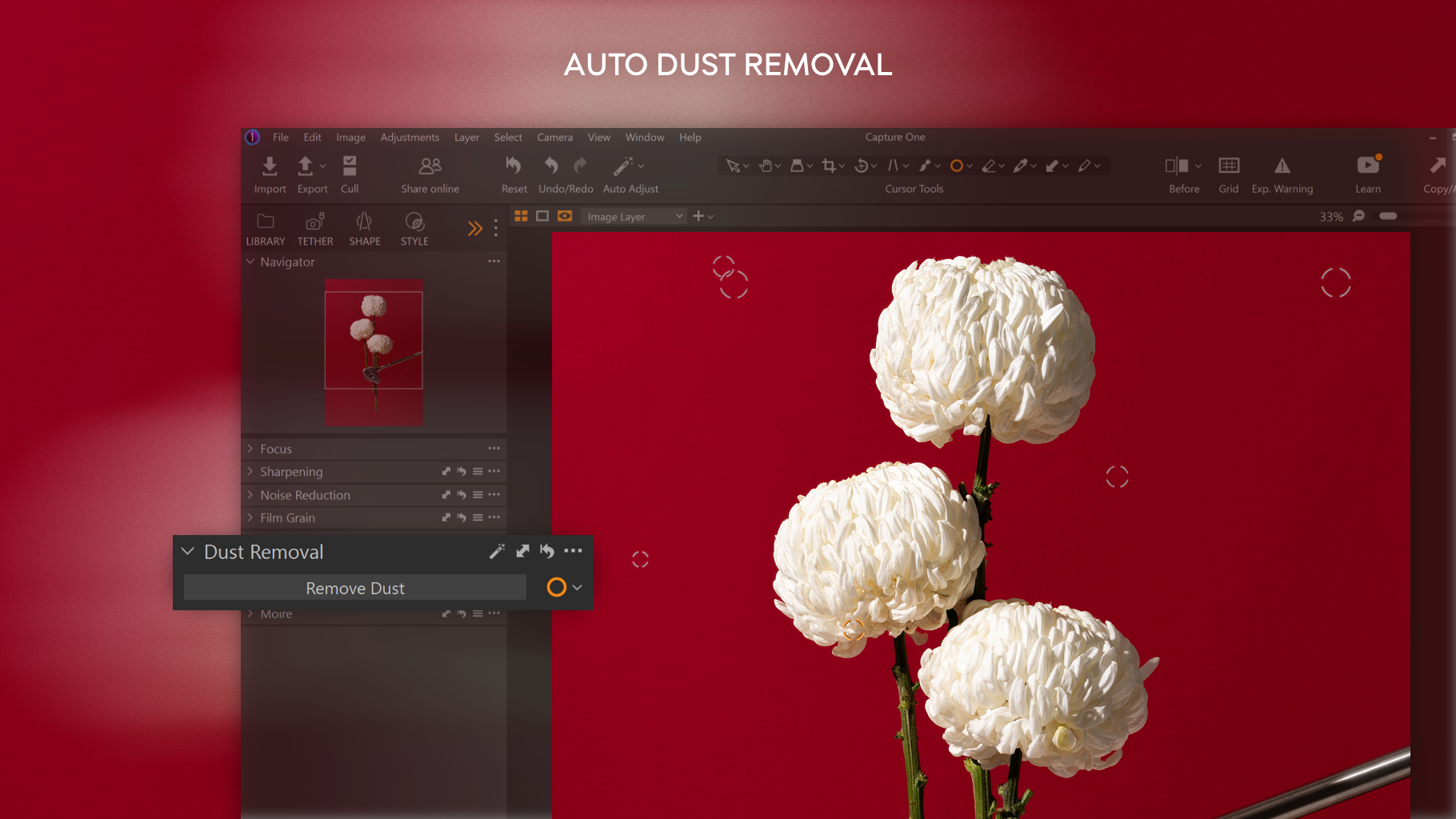 Capture One screenshot