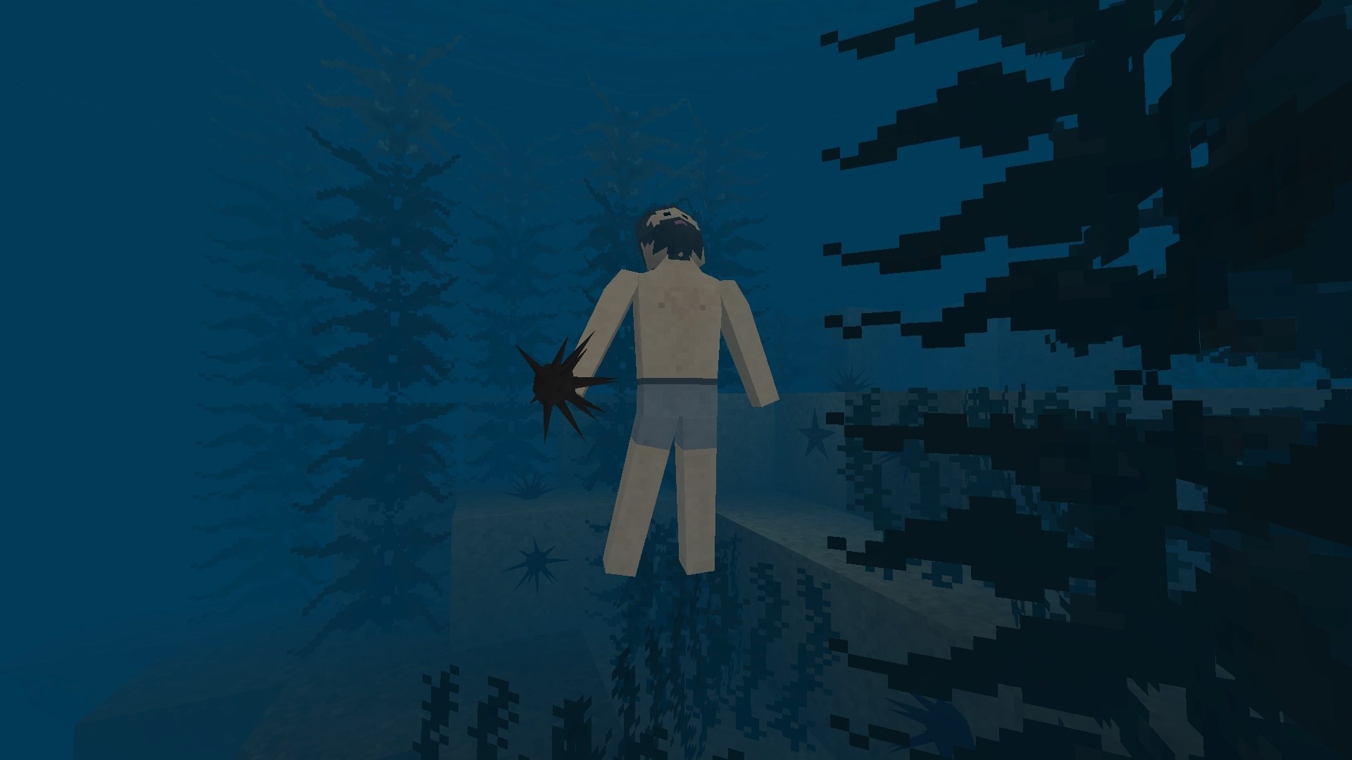 Survivalcraft 2 screenshot