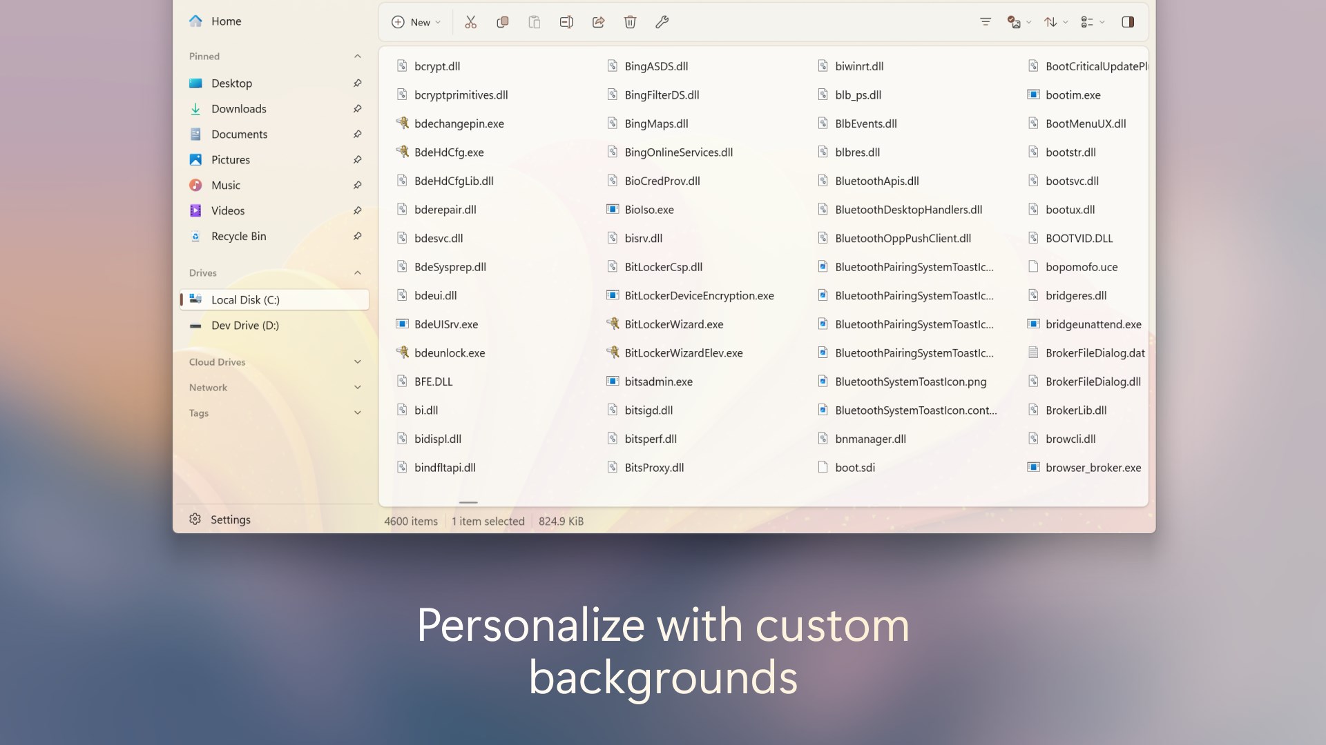 Files App screenshot