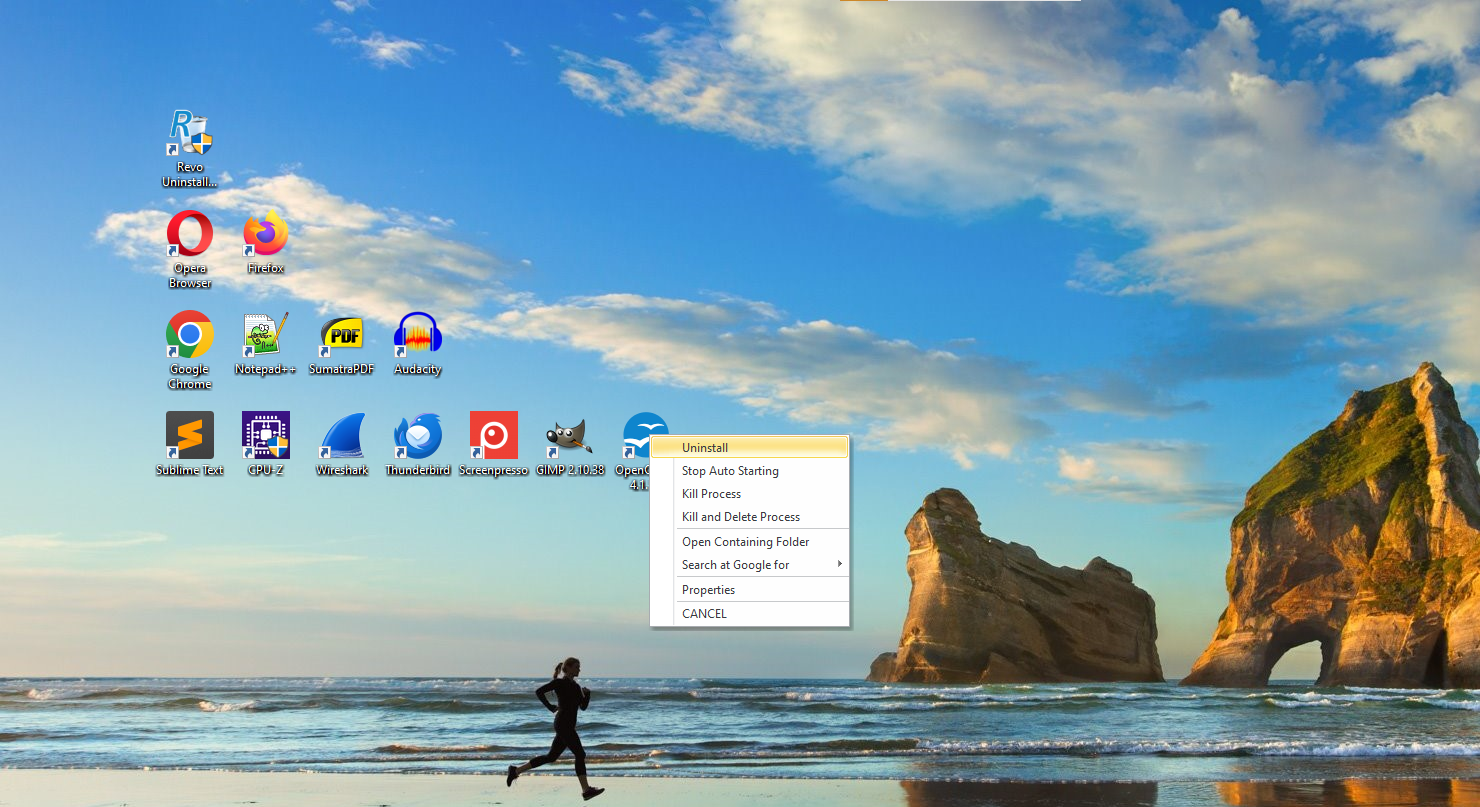 Revo Uninstaller screenshot
